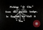 Standbild japanische Frauen pick Tee Blätter Japan, 1934, aus Sekunde 3 historischem Filmmaterial Videoclip 65675025108