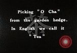 Standbild japanische Frauen pick Tee Blätter Japan, 1934, aus Sekunde 9 historischem Filmmaterial Videoclip 65675025108