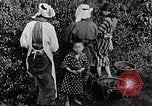 Standbild japanische Frauen pick Tee Blätter Japan, 1934, aus Sekunde 11 historischem Filmmaterial Videoclip 65675025108