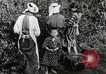 Standbild japanische Frauen pick Tee Blätter Japan, 1934, aus Sekunde 12 historischem Filmmaterial Videoclip 65675025108