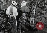 Standbild japanische Frauen pick Tee Blätter Japan, 1934, aus Sekunde 13 historischem Filmmaterial Videoclip 65675025108