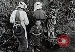 Standbild japanische Frauen pick Tee Blätter Japan, 1934, aus Sekunde 14 historischem Filmmaterial Videoclip 65675025108