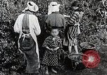 Standbild japanische Frauen pick Tee Blätter Japan, 1934, aus Sekunde 15 historischem Filmmaterial Videoclip 65675025108