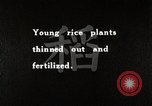 Image of Rice Farmer Japan, 1934, second 3 stock footage video 65675025110