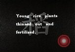 Image of Rice Farmer Japan, 1934, second 4 stock footage video 65675025110