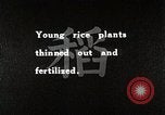 Image of Rice Farmer Japan, 1934, second 5 stock footage video 65675025110