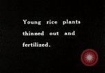 Image of Rice Farmer Japan, 1934, second 7 stock footage video 65675025110