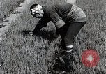 Image of Rice Farmer Japan, 1934, second 11 stock footage video 65675025110