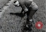 Image of Rice Farmer Japan, 1934, second 12 stock footage video 65675025110