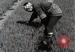 Image of Rice Farmer Japan, 1934, second 16 stock footage video 65675025110