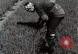 Image of Rice Farmer Japan, 1934, second 17 stock footage video 65675025110