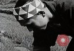 Image of Rice Farmer Japan, 1934, second 18 stock footage video 65675025110