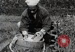 Image of Rice Farmer Japan, 1934, second 23 stock footage video 65675025110