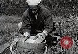 Image of Rice Farmer Japan, 1934, second 24 stock footage video 65675025110
