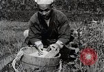 Image of Rice Farmer Japan, 1934, second 25 stock footage video 65675025110