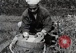 Image of Rice Farmer Japan, 1934, second 26 stock footage video 65675025110