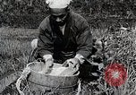 Image of Rice Farmer Japan, 1934, second 27 stock footage video 65675025110