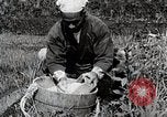 Image of Rice Farmer Japan, 1934, second 28 stock footage video 65675025110