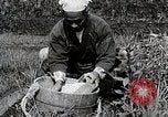 Image of Rice Farmer Japan, 1934, second 29 stock footage video 65675025110