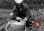 Image of Rice Farmer Japan, 1934, second 30 stock footage video 65675025110