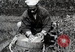 Image of Rice Farmer Japan, 1934, second 31 stock footage video 65675025110