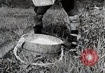Image of Rice Farmer Japan, 1934, second 32 stock footage video 65675025110