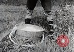 Image of Rice Farmer Japan, 1934, second 33 stock footage video 65675025110