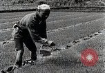 Image of Rice Farmer Japan, 1934, second 34 stock footage video 65675025110