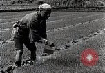 Image of Rice Farmer Japan, 1934, second 35 stock footage video 65675025110