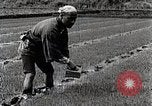 Image of Rice Farmer Japan, 1934, second 36 stock footage video 65675025110
