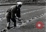 Image of Rice Farmer Japan, 1934, second 37 stock footage video 65675025110