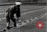 Image of Rice Farmer Japan, 1934, second 38 stock footage video 65675025110