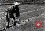Image of Rice Farmer Japan, 1934, second 39 stock footage video 65675025110