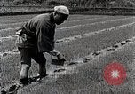 Image of Rice Farmer Japan, 1934, second 41 stock footage video 65675025110