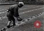 Image of Rice Farmer Japan, 1934, second 42 stock footage video 65675025110
