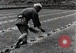 Image of Rice Farmer Japan, 1934, second 45 stock footage video 65675025110