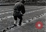 Image of Rice Farmer Japan, 1934, second 46 stock footage video 65675025110