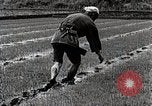 Image of Rice Farmer Japan, 1934, second 47 stock footage video 65675025110