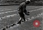 Image of Rice Farmer Japan, 1934, second 48 stock footage video 65675025110