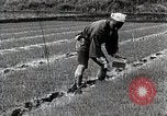 Image of Rice Farmer Japan, 1934, second 50 stock footage video 65675025110
