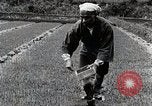 Image of Rice Farmer Japan, 1934, second 52 stock footage video 65675025110
