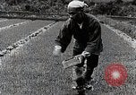 Image of Rice Farmer Japan, 1934, second 53 stock footage video 65675025110