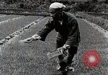Image of Rice Farmer Japan, 1934, second 54 stock footage video 65675025110