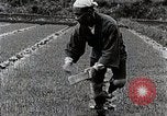 Image of Rice Farmer Japan, 1934, second 55 stock footage video 65675025110