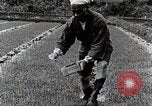 Image of Rice Farmer Japan, 1934, second 56 stock footage video 65675025110