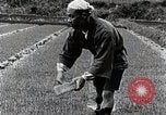 Image of Rice Farmer Japan, 1934, second 58 stock footage video 65675025110