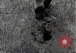 Image of Rice Farmer Japan, 1934, second 59 stock footage video 65675025110