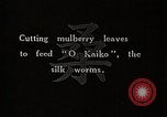 Image of Silkworm Cultivation in Japan Japan, 1934, second 3 stock footage video 65675025111