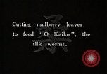 Image of Silkworm Cultivation in Japan Japan, 1934, second 5 stock footage video 65675025111