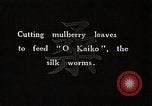 Image of Silkworm Cultivation in Japan Japan, 1934, second 6 stock footage video 65675025111